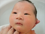 以諾 ちゃん